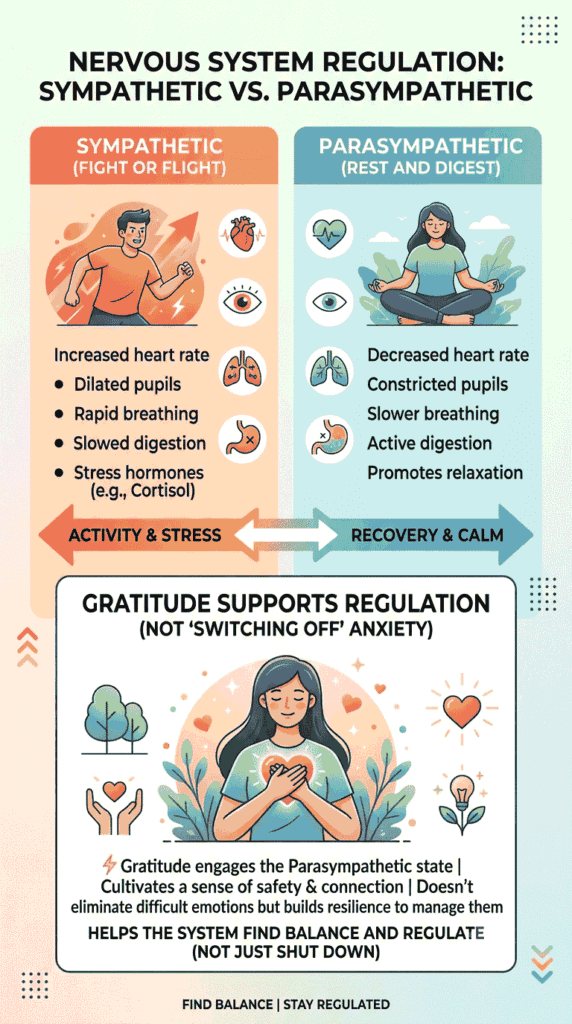 Diagram showing sympathetic and parasympathetic nervous system activity as a response for can gratitude and anxiety exist at the same time.