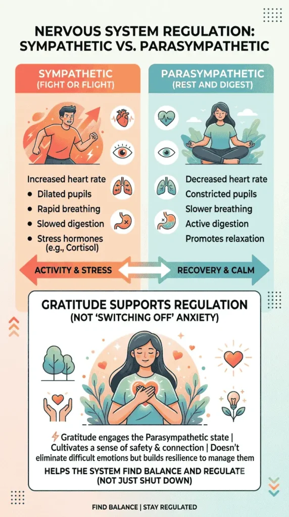 Diagram showing sympathetic and parasympathetic nervous system activity and the role of gratitude in emotional regulation.